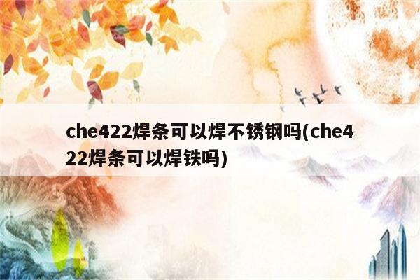 che422焊条可以焊不锈钢吗(che422焊条可以焊铁吗)