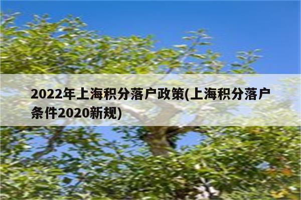 2022年上海积分落户政策(上海积分落户条件2020新规)