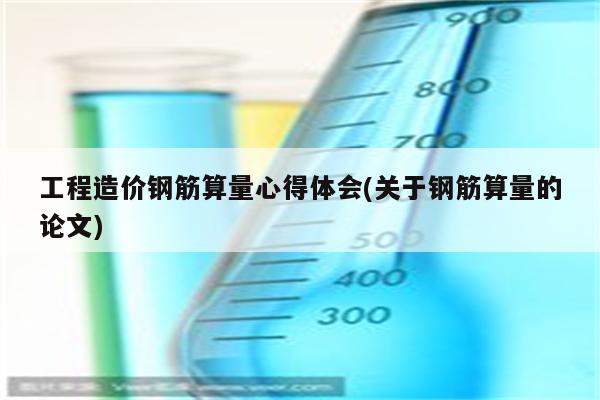 工程造价钢筋算量心得体会(关于钢筋算量的论文)