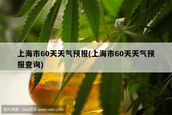 上海市60天天气预报(上海市60天天气预报查询)