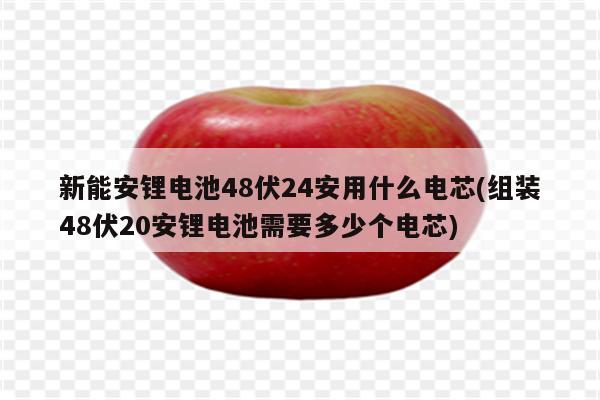 新能安锂电池48伏24安用什么电芯(组装48伏20安锂电池需要多少个电芯)