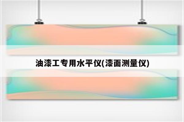 油漆工专用水平仪(漆面测量仪)