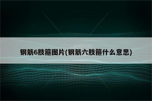 钢筋6肢箍图片(钢筋六肢箍什么意思)