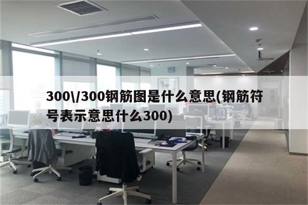 300\/300钢筋图是什么意思(钢筋符号表示意思什么300)