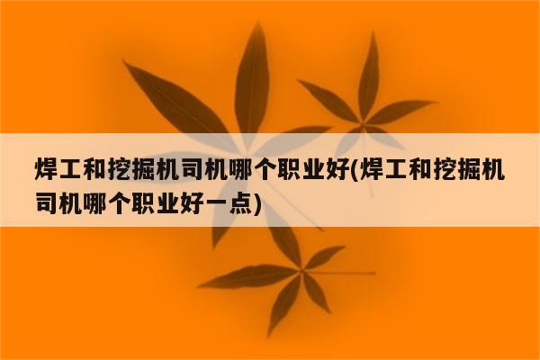 焊工和挖掘机司机哪个职业好(焊工和挖掘机司机哪个职业好一点)