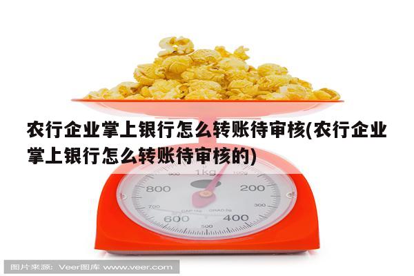 农行企业掌上银行怎么转账待审核(农行企业掌上银行怎么转账待审核的)