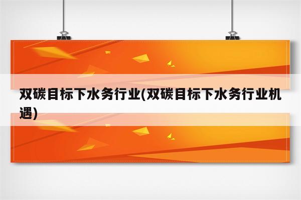 双碳目标下水务行业(双碳目标下水务行业机遇)