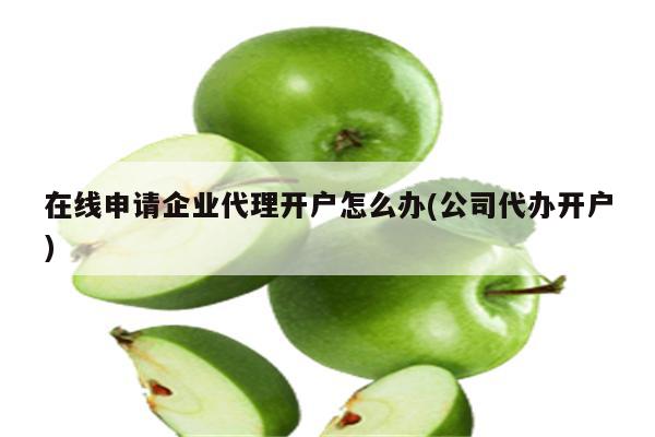 在线申请企业代理开户怎么办(公司代办开户)