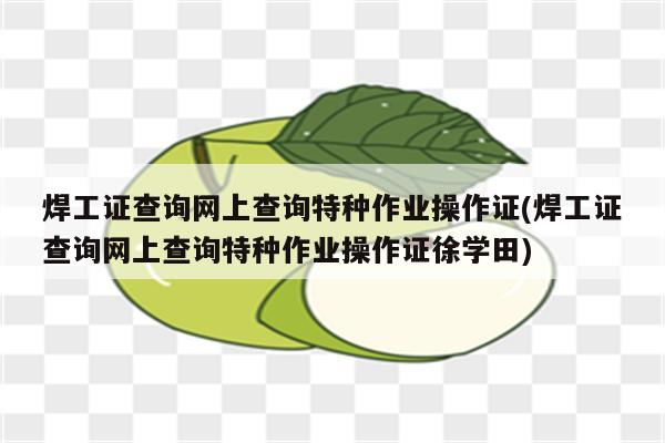 焊工证查询网上查询特种作业操作证(焊工证查询网上查询特种作业操作证徐学田)