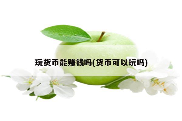 玩货币能赚钱吗(货币可以玩吗)