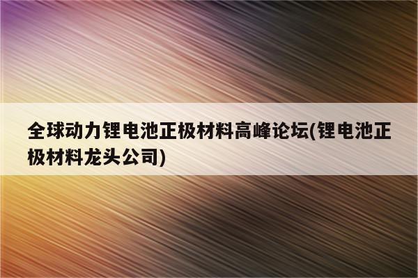 全球动力锂电池正极材料高峰论坛(锂电池正极材料龙头公司)