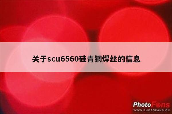 关于scu6560硅青铜焊丝的信息