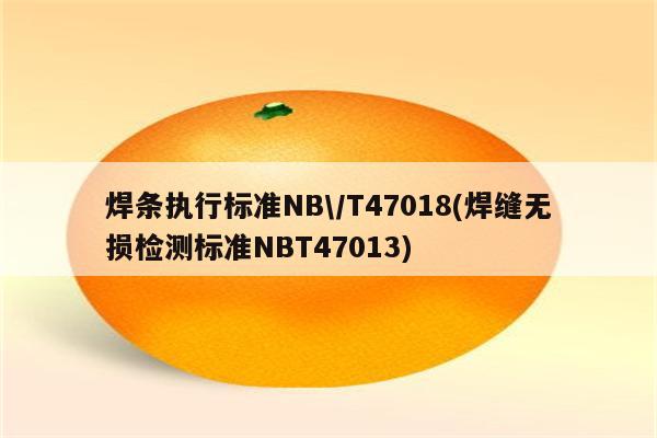 焊条执行标准NB\/T47018(焊缝无损检测标准NBT47013)