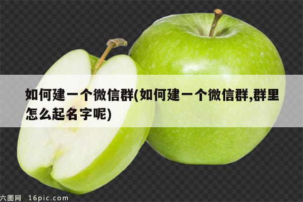 如何建一个微信群(如何建一个微信群,群里怎么起名字呢)