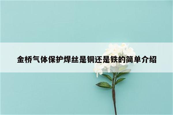 金桥气体保护焊丝是铜还是铁的简单介绍