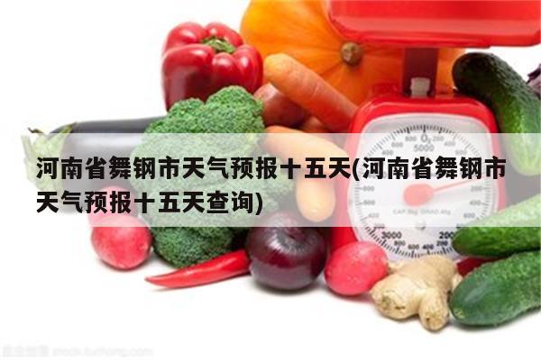 河南省舞钢市天气预报十五天(河南省舞钢市天气预报十五天查询)