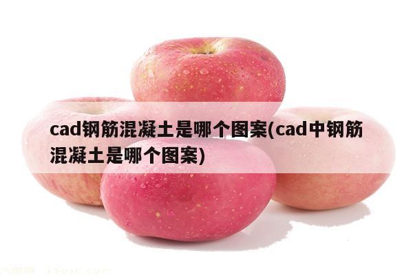 cad钢筋混凝土是哪个图案(cad中钢筋混凝土是哪个图案)