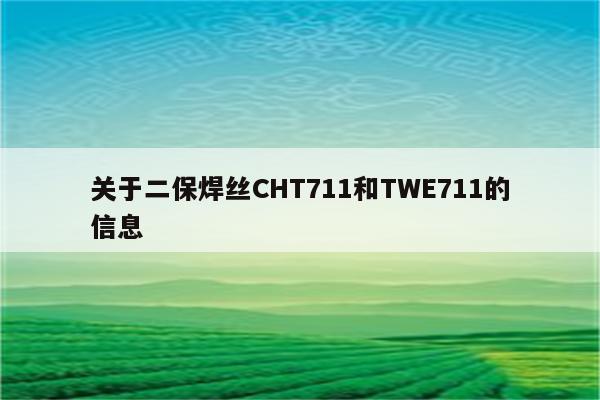 关于二保焊丝CHT711和TWE711的信息