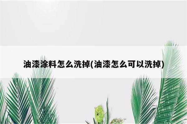 油漆涂料怎么洗掉(油漆怎么可以洗掉)