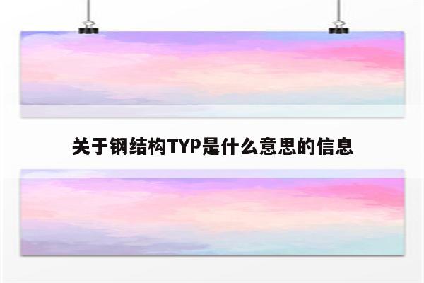 关于钢结构TYP是什么意思的信息