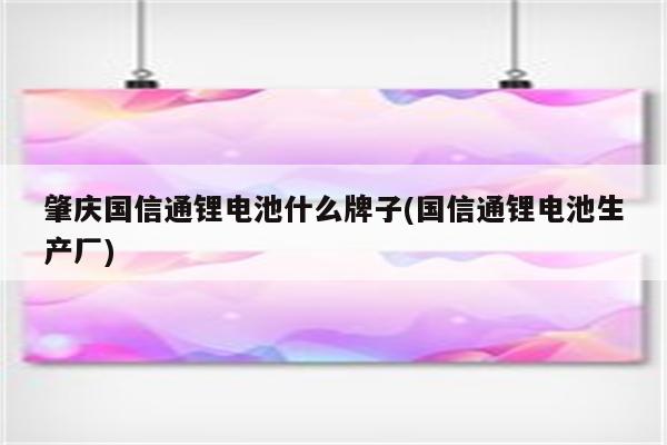 肇庆国信通锂电池什么牌子(国信通锂电池生产厂)