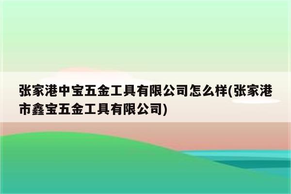 张家港中宝五金工具有限公司怎么样(张家港市鑫宝五金工具有限公司)