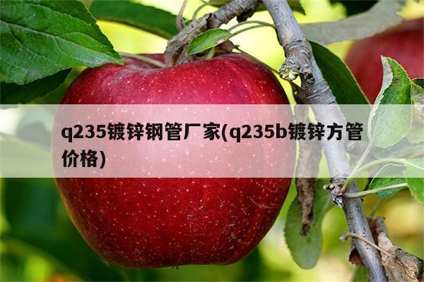 q235镀锌钢管厂家(q235b镀锌方管价格)