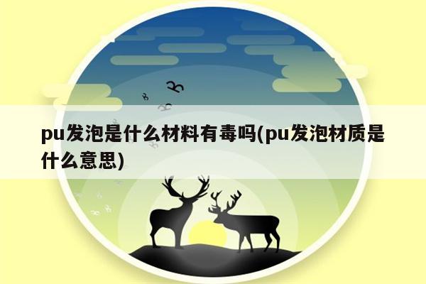 pu发泡是什么材料有毒吗(pu发泡材质是什么意思)