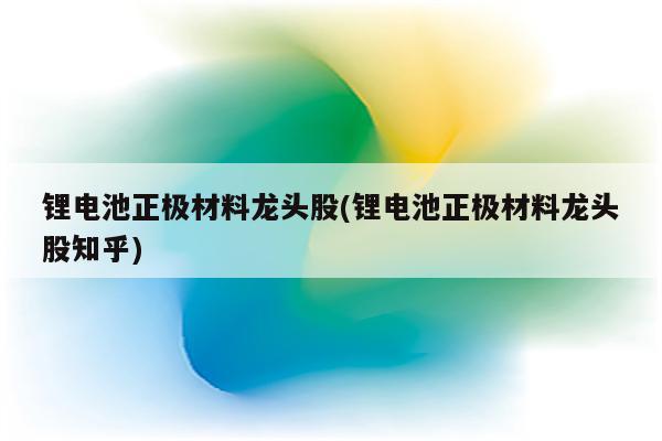 锂电池正极材料龙头股(锂电池正极材料龙头股知乎)