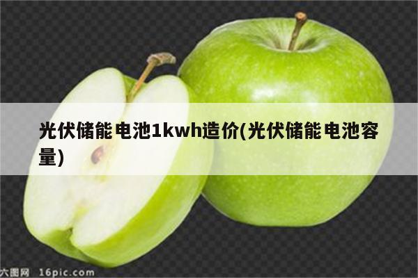 光伏储能电池1kwh造价(光伏储能电池容量)