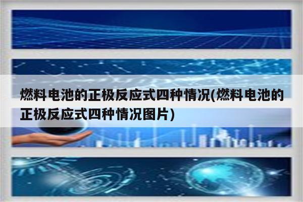 燃料电池的正极反应式四种情况(燃料电池的正极反应式四种情况图片)