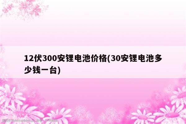 12伏300安锂电池价格(30安锂电池多少钱一台)