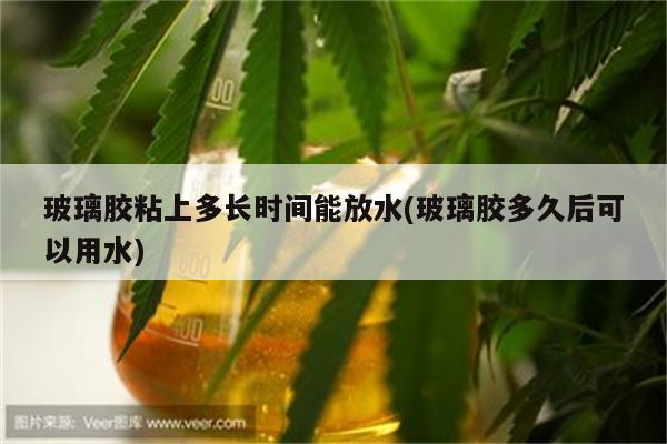 玻璃胶粘上多长时间能放水(玻璃胶多久后可以用水)