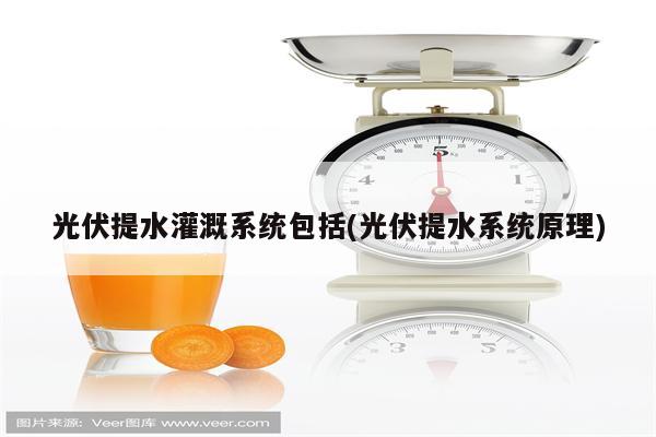 光伏提水灌溉系统包括(光伏提水系统原理)