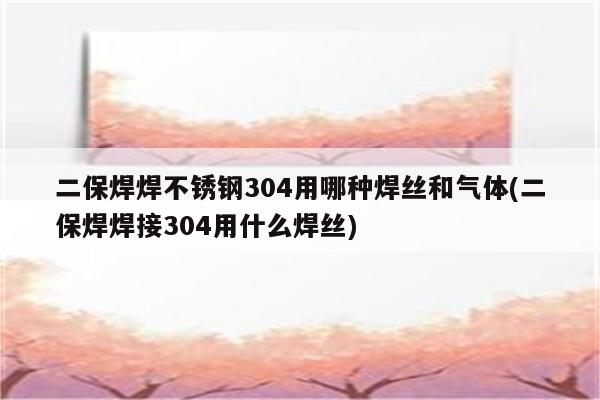 二保焊焊不锈钢304用哪种焊丝和气体(二保焊焊接304用什么焊丝)