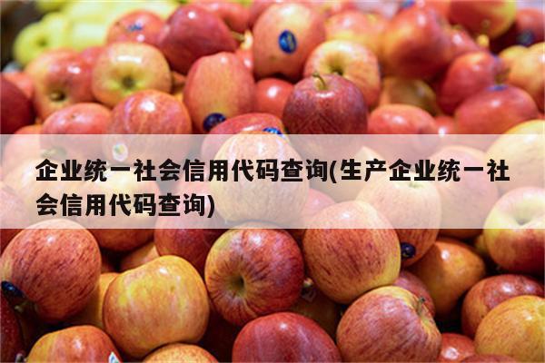 企业统一社会信用代码查询(生产企业统一社会信用代码查询)