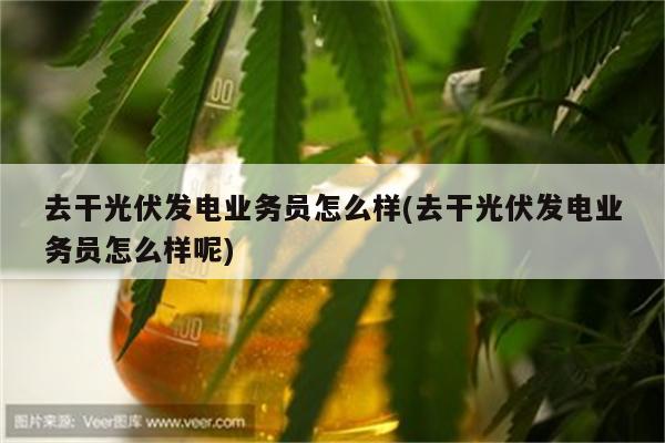 去干光伏发电业务员怎么样(去干光伏发电业务员怎么样呢)