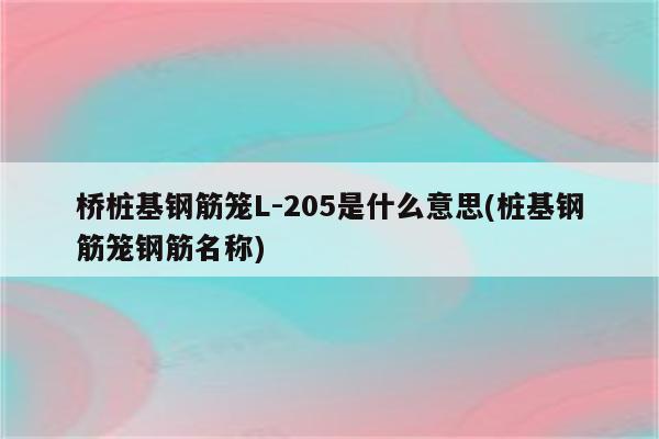 桥桩基钢筋笼L-205是什么意思(桩基钢筋笼钢筋名称)