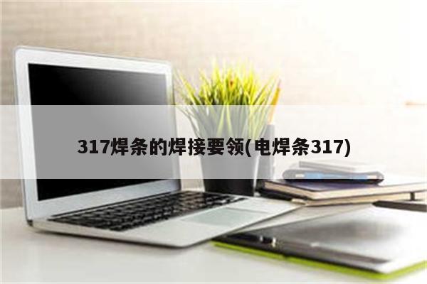 317焊条的焊接要领(电焊条317)