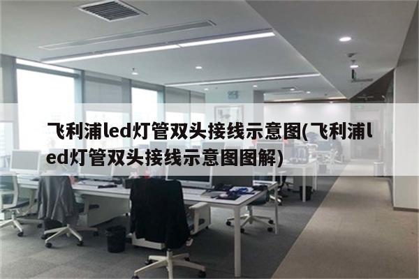 飞利浦led灯管双头接线示意图(飞利浦led灯管双头接线示意图图解)