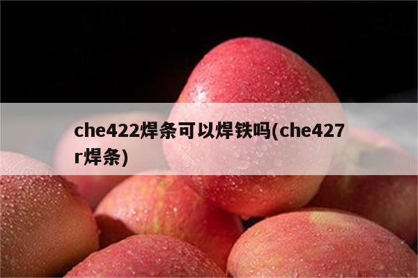 che422焊条可以焊铁吗(che427r焊条)