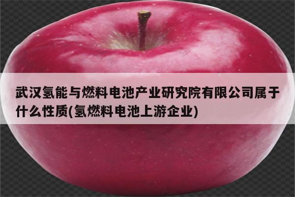 武汉氢能与燃料电池产业研究院有限公司属于什么性质(氢燃料电池上游企业)