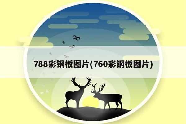 788彩钢板图片(760彩钢板图片)