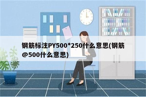 钢筋标注PY500*250什么意思(钢筋@500什么意思)