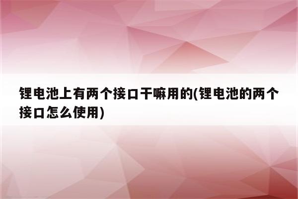 锂电池上有两个接口干嘛用的(锂电池的两个接口怎么使用)