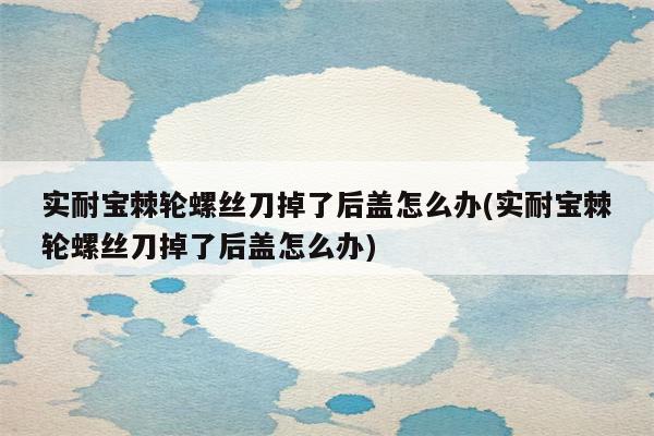 实耐宝棘轮螺丝刀掉了后盖怎么办(实耐宝棘轮螺丝刀掉了后盖怎么办)