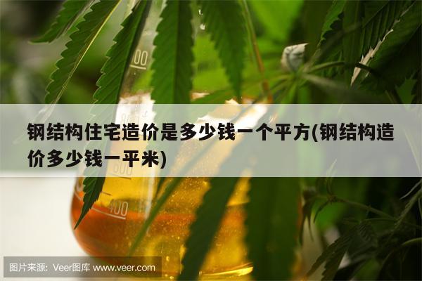 钢结构住宅造价是多少钱一个平方(钢结构造价多少钱一平米)