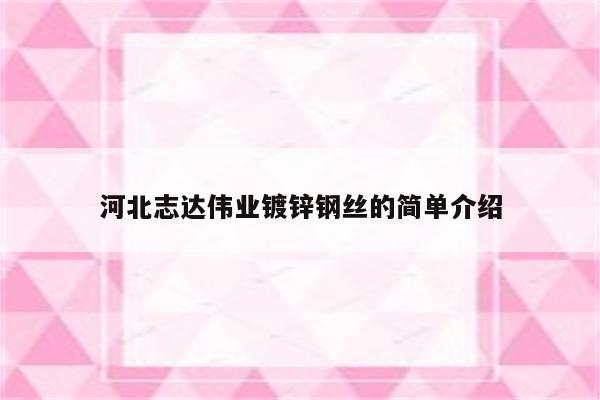 河北志达伟业镀锌钢丝的简单介绍