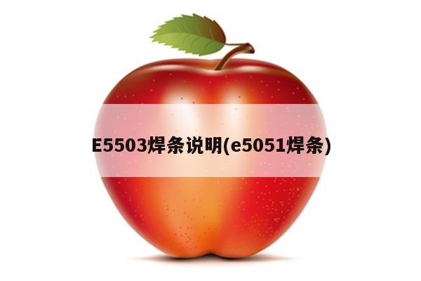 E5503焊条说明(e5051焊条)