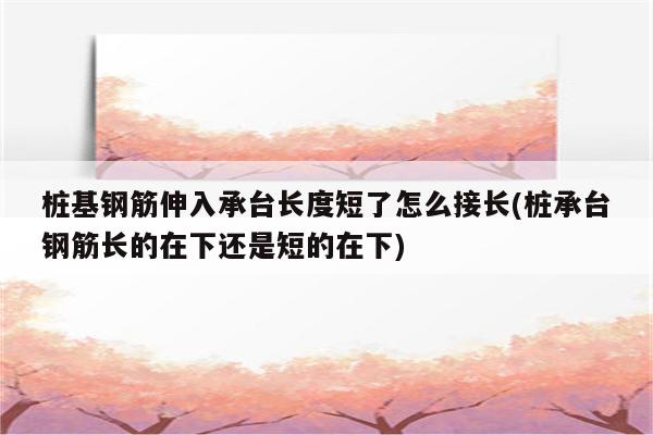 桩基钢筋伸入承台长度短了怎么接长(桩承台钢筋长的在下还是短的在下)